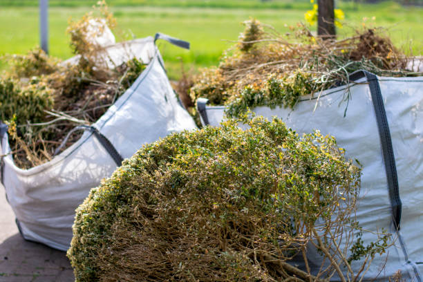 Best Dumpster Rental Services  in New Castle, IN